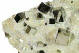 Shiny Pyrite Cubes in Rock - Victoria Mine, Spain #168549-2